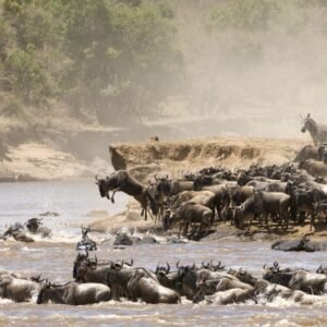 5 Days Serengeti & Ngorongoro Adventure
