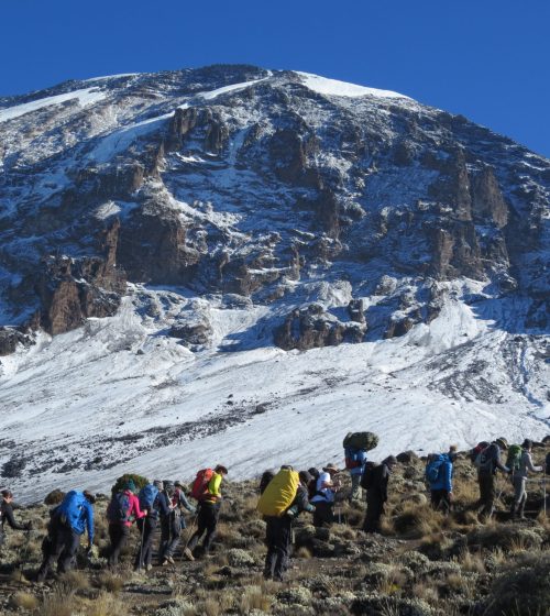 Kilimanjaro